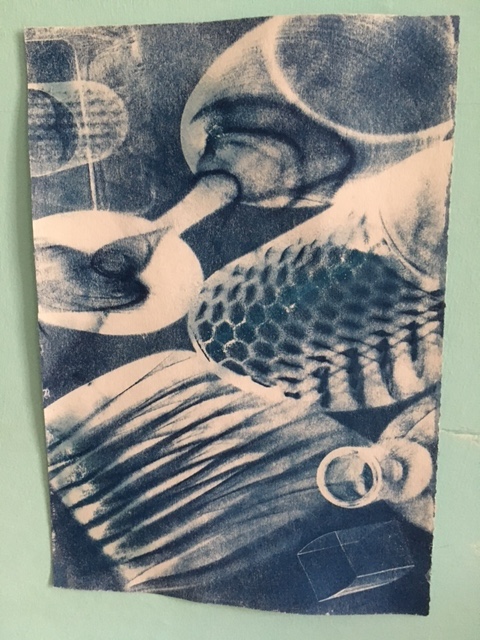 A Look At Cyanotypes